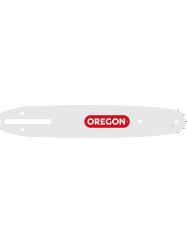 Шина OREGON 100SDEA041