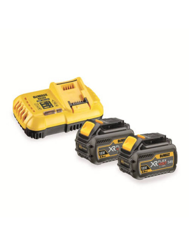 Зарядний пристрій DeWALT DCB118T2
