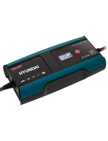 Зарядний пристрій HY 810  Hyundai